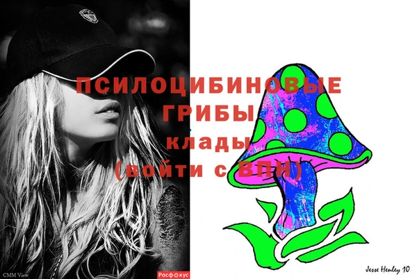 дживик Баксан