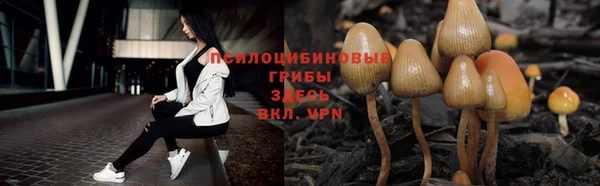 дживик Баксан