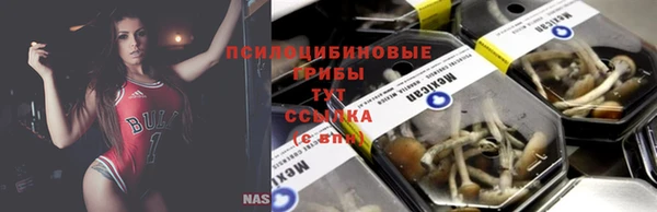 дживик Баксан